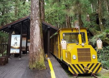 停駛4個月  太平山蹦蹦車11/1恢復行駛