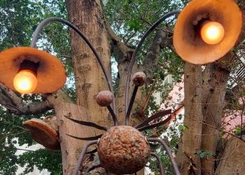 後山小調∕巷弄的庭園燈 引人多看一眼