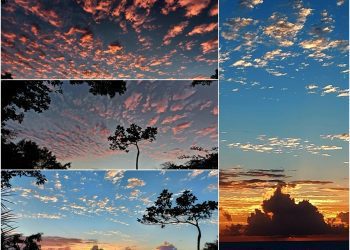 後山小調∕秋日晨曦