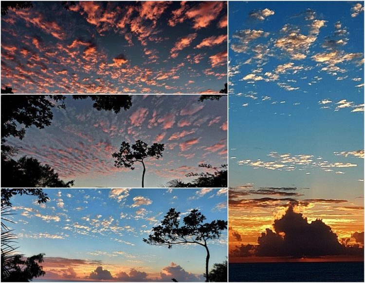 後山小調∕秋日晨曦 後山小調∕秋日晨曦