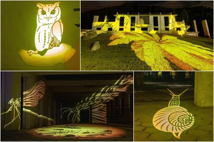 感受礁溪心脈動 跑馬古道公園開幕了