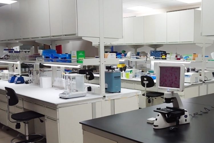 提升打擊犯罪能力 DNA科學實驗室啟用 提升打擊犯罪能力 DNA科學實驗室啟用