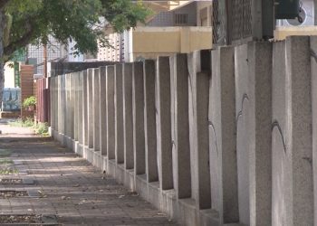 百年竹小翻新通學步道 通透綠廊將成最美風景