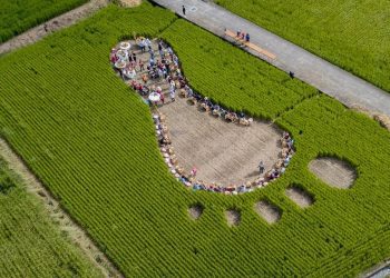 翰品酒店花蓮房客獨家行程走進部落 體驗五星主廚田園饗宴品嚐織羅滋味
