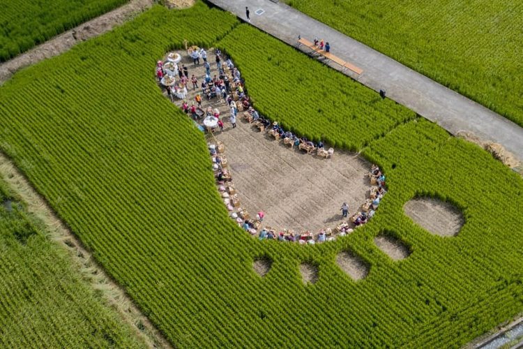 翰品酒店花蓮房客獨家行程走進部落 體驗五星主廚田園饗宴品嚐織羅滋味 翰品酒店花蓮房客獨家行程走進部落 體驗五星主廚田園饗宴品嚐織羅滋味