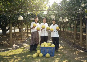 台南大員皇冠假日酒店【11月正秋．呷柚囉】