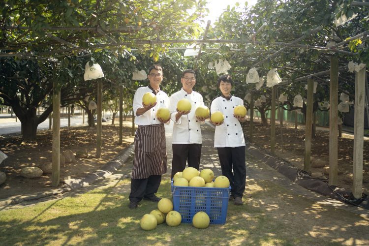 台南大員皇冠假日酒店【11月正秋．呷柚囉】