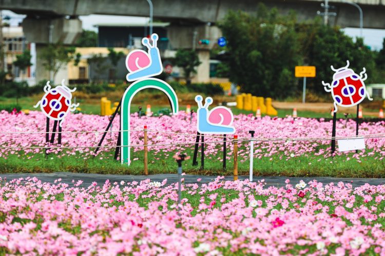 2021桃園仙草花節 紫色浪漫來襲美不勝收 2021桃園仙草花節  紫色浪漫來襲美不勝收
