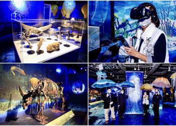 「藏水覓趣」特展開幕  邀大家到蘭博體驗水下考古趣