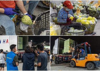 全力協助有害生物零檢出 饒慶鈴訪外銷集貨場