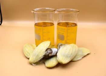 台灣創新技術博覽會 永續發展館 43科技大賞