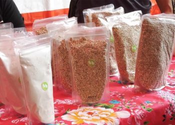 客家蕎麥藝術季 推在地創新客家美食