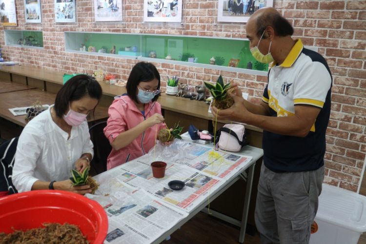 市圖帶領大小朋友走出書本  一起認識淨化空氣植物
