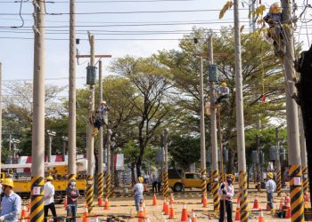 廣招電業人才 台電111年再招考800多名僱用人員