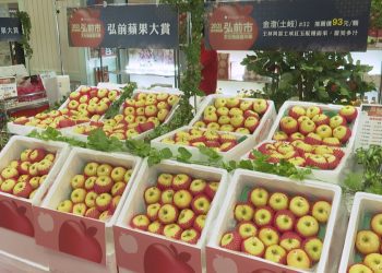 弘前文化物產展  產地直送青森蘋果甜脆味美