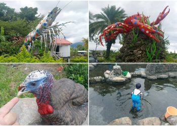 影音∕《愛玩耍》蘭陽蟳屋釣魚抓蝦享美食 親子休閒好去處