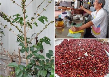 後山小調∕班長的友誼咖啡小棧