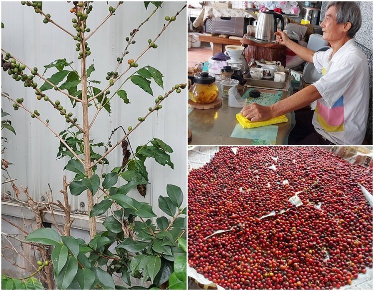 後山小調∕班長的友誼咖啡小棧