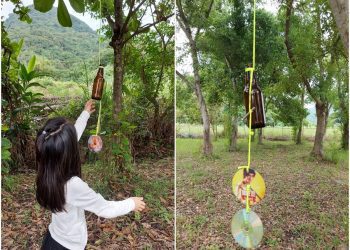 後山小調∕防野豬 新方法