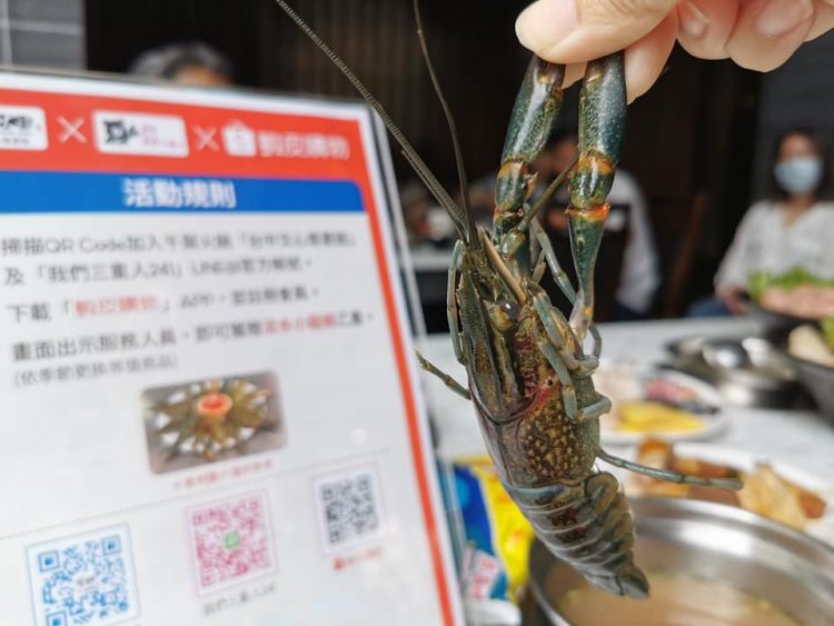 我們三重人和蝦皮、千葉火鍋聯手 推出掃3Q好康享不完活動…