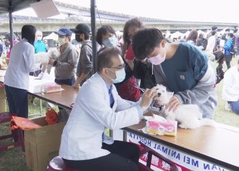 推動友善動物城市  2021毛寶貝運動會11/13登場