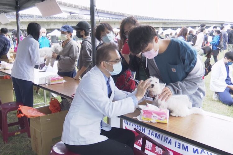 推動友善動物城市 2021毛寶貝運動會11/13登場 推動友善動物城市  2021毛寶貝運動會11/13登場