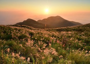 礁溪晶泉丰旅季節限定「桃源谷秋芒健行」住房專案