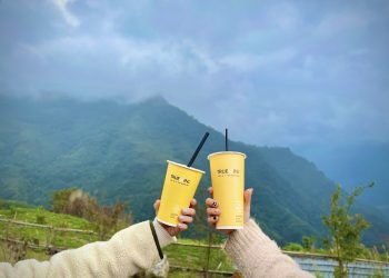 經典楊枝甘露熱熱喝？初韻TrueWin不分冷熱飲限時第二杯半價