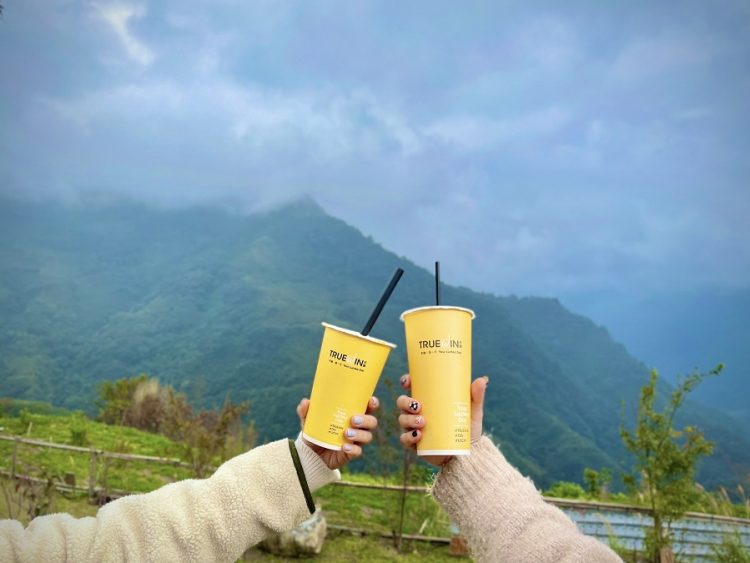 經典楊枝甘露熱熱喝？初韻TrueWin不分冷熱飲限時第二杯半價