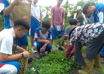 花蓮高中扎根原住民族文化教育 發掘多元探索路徑