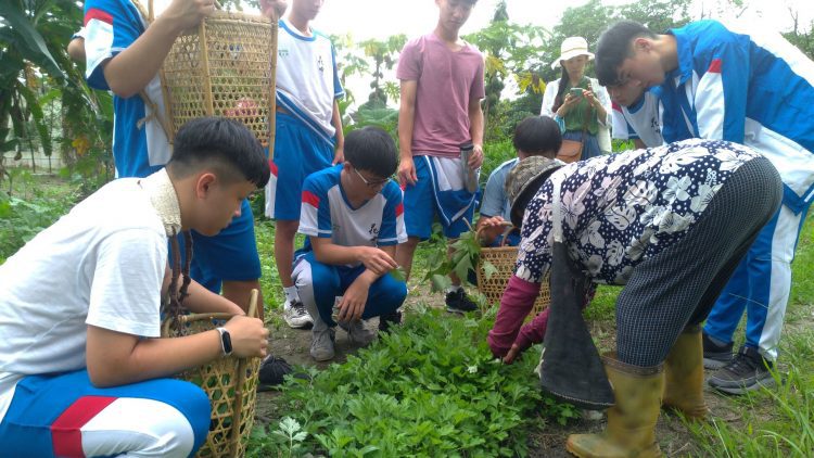 花蓮高中扎根原住民族文化教育 發掘多元探索路徑 花蓮高中扎根原住民族文化教育 發掘多元探索路徑