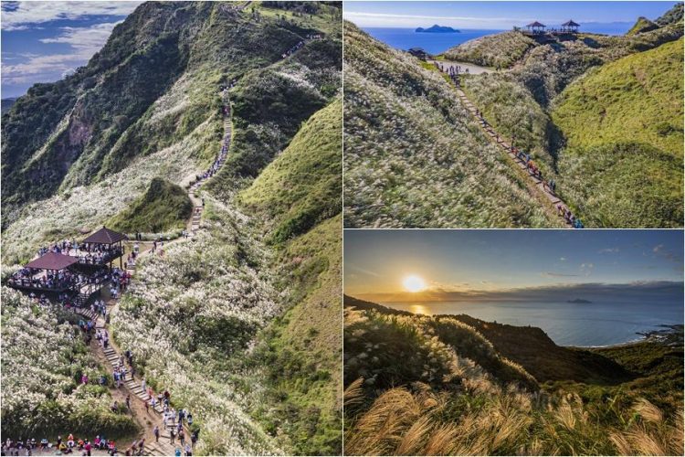 2021年草嶺古道「鋒芒四攝」競賽 蕭慶良奪金 石世民銀牌 2021年草嶺古道「鋒芒四攝」競賽 蕭慶良奪金 石世民銀牌