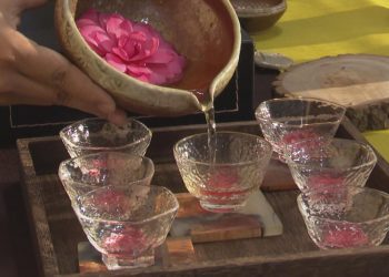 2021竹市茶花季25日開跑 推限定版「喬伊茶花凍飲」