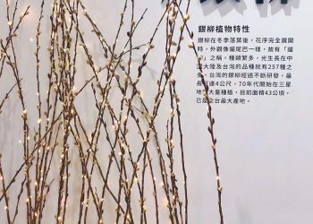 2022三星青蔥銀柳節1/15、1/16登場 超值體驗帶來翻倍樂趣