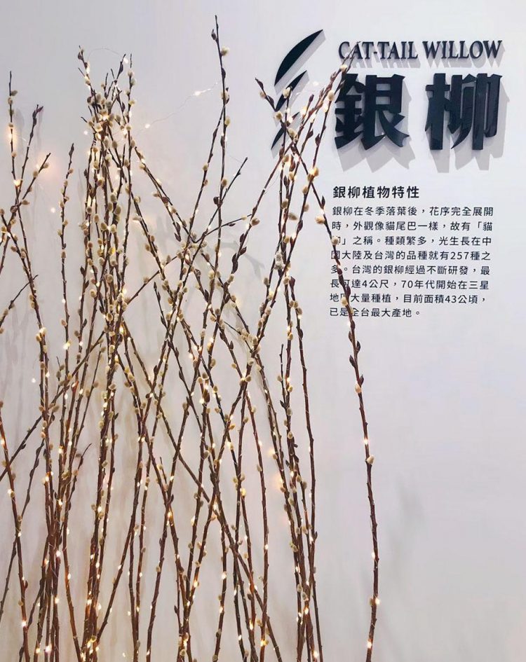 2022三星青蔥銀柳節1/15、1/16登場 超值體驗帶來翻倍樂趣