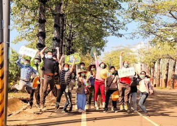 冬遊首選 延平體驗糖鄉文化 楓港慢賞伯勞、數魚苗!