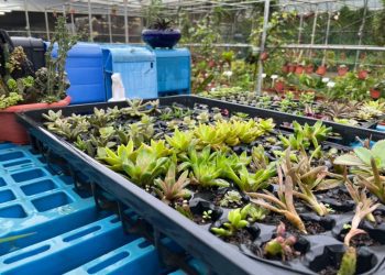 到金山享受大自然洗禮 戶外體驗訓練孩子們獨立