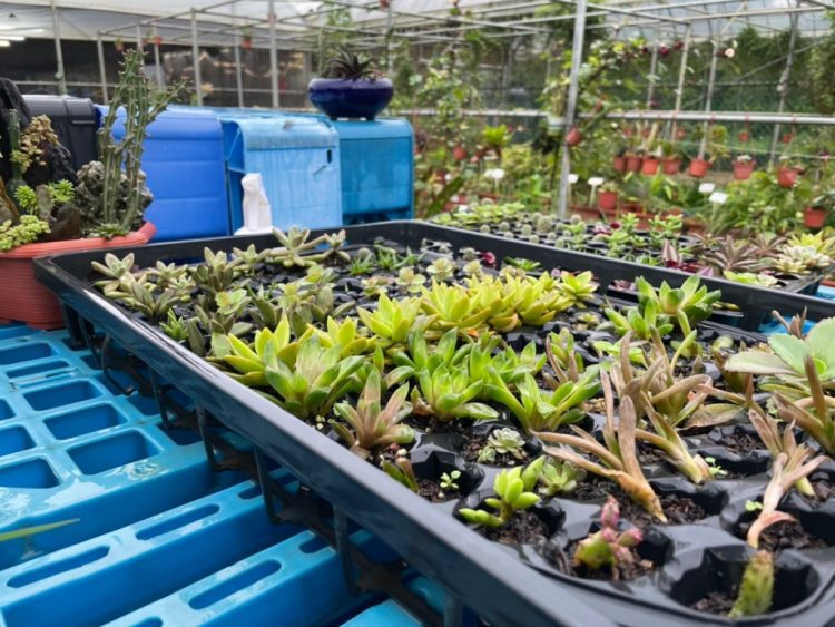 到金山享受大自然洗禮 戶外體驗訓練孩子們獨立 到金山享受大自然洗禮 戶外體驗訓練孩子們獨立