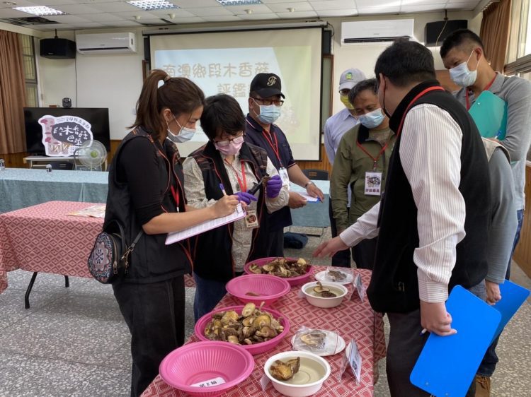 南澳段木香菇巴萊評鑑競爭激烈 廣秀花勇奪冠軍 南澳段木香菇巴萊評鑑競爭激烈 廣秀花勇奪冠軍