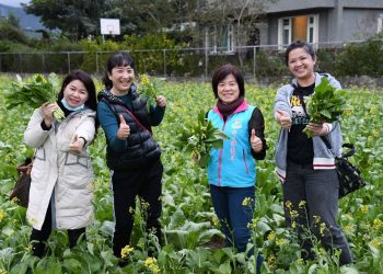 吉安鄉有機油菜花銅板價分享 陳廣友阿伯自發性籌募寒冬送暖基金