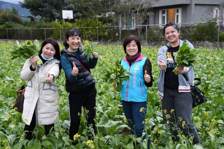 吉安鄉有機油菜花銅板價分享 陳廣友阿伯自發性籌募寒冬送暖基金 吉安鄉有機油菜花銅板價分享 陳廣友阿伯自發性籌募寒冬送暖基金