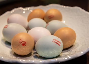 國產優質雞蛋尚青尚營養 美味養生全身活力泉源