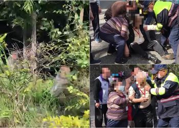 太魯閣天祥遊憩區猴群肆虐 老翁遭圍攻受傷