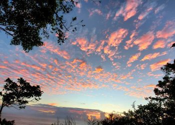 後山小調∕一年將盡迎明年