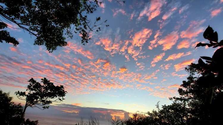 後山小調∕一年將盡迎明年 後山小調∕一年將盡迎明年