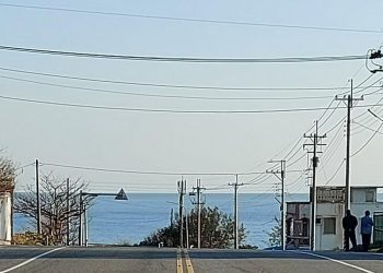 後山小調∕停電 台電賠償一元