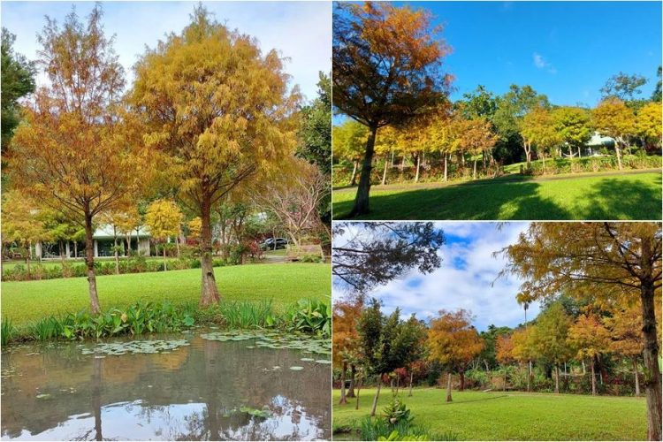 後山小調∕小孫和平樂聲飄山谷 後山小調∕小孫和平樂聲飄山谷