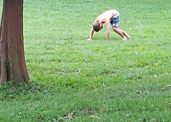 後山小調∕蛤蟆功