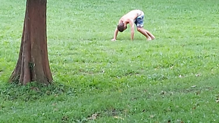 後山小調∕蛤蟆功