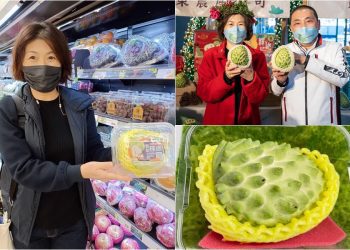 東縣府助銷鳳梨釋迦成績亮眼 縣長饒慶鈴全面加緊衝刺銷售量